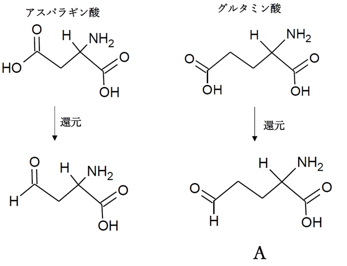 アミノ酸（C）の生合成過程の一部を示した図　第99回薬剤師国家試験問107